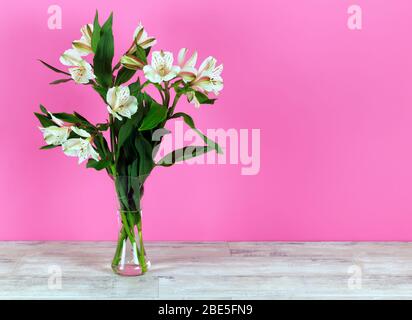 Alstroemeria bianca, lilys peruviani in vaso di vetro Foto Stock