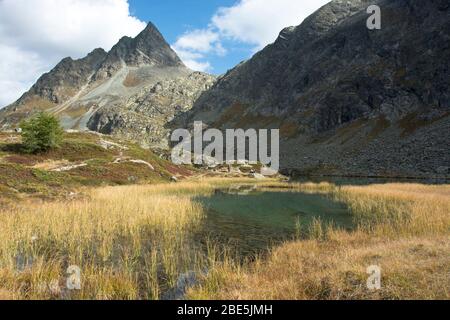 Die Bergseen Crap ALV mit dem Dschimels im Hintergrund oberhalb des albulapass in Graubünden, Schweiz Foto Stock