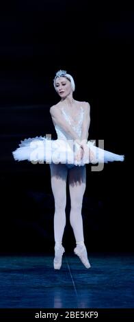 Daria Klimentova (Odette) in SWAN LAKE presentato da English National Ballet (ENB) al London Coliseum in 2011 music: Tchaikovsky coreografia: Derek Deane design: Peter Farmer Lighting: Howard Harrison Foto Stock