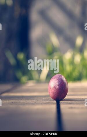 Uovo di Pasqua colorato alla luce del sole del giardino Foto Stock