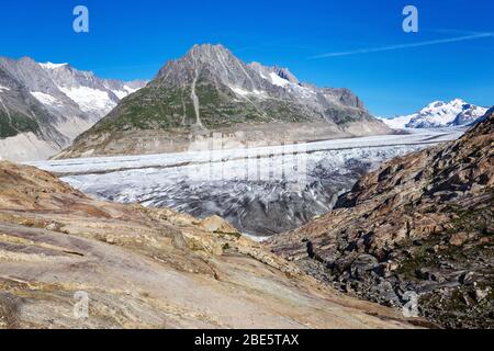 Il ghiacciaio Aletsch. Aletschgletscher. Rocce lisce. Alpi Bernesi orientali nel cantone svizzero del Vallese. Svizzera. Foto Stock