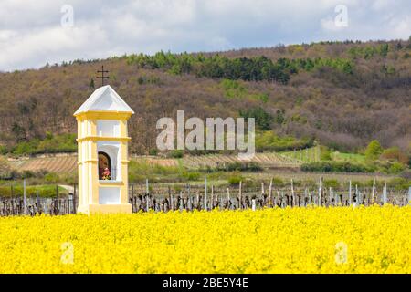 Gli dèi la tortura nei pressi di Retz, Austria Foto Stock