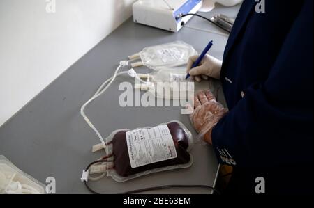 Sanaa, Yemen. 12 aprile 2020. Un operatore sanitario scrive informazioni sui sacchetti di sangue a Sanaa, Yemen, 12 aprile 2020. La Sanaa di Yemeni ha lanciato domenica una campagna di donazione di sangue come uno sforzo per rafforzare l'approvvigionamento di sangue tra le crescenti preoccupazioni dell'epidemia di coronavirus. Credit: Mohammed Mohammed/Xinhua/Alamy Live News Foto Stock