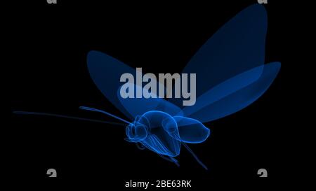 Butterfly di colore blu in sfondo nero rendering 3d Foto Stock