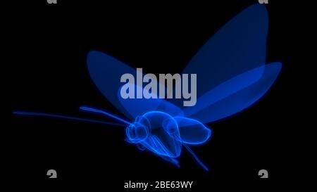 Butterfly di colore blu in sfondo nero rendering 3d Foto Stock