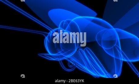 Butterfly di colore blu in sfondo nero rendering 3d Foto Stock