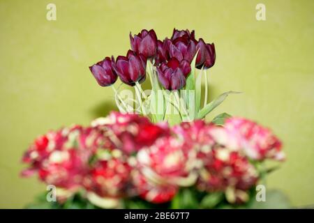 Un bel bouquet di rose rosse Ein schöner Strauss roter Rosen Foto Stock