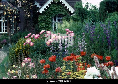 Confezionato tardo perenne bordo primavera con papaveri orientali, peonie, aquilegie e loosestrife giallo. Foto Stock