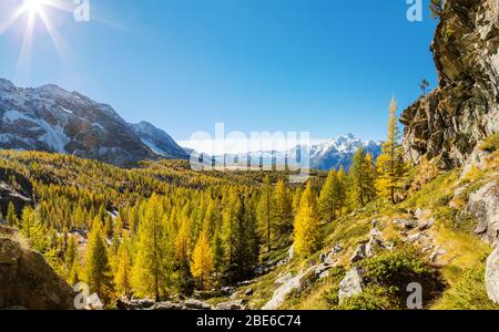 Valmalenco (IT) - antenna autunnale panoramica dall'Alpe Prabello Foto Stock