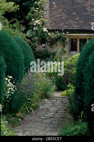 Percorso lastricato in pietra tra arbusti di conifere tagliate in giardino di cottage con rose rosa sul muro Foto Stock