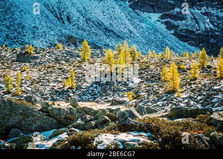 Valmalenco (IT) - antenna autunnale panoramica dall'Alpe Prabello Foto Stock