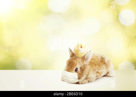 Composizione pasquale con tema Coronavirus. Quarantena pasquale Foto Stock