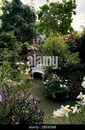 Panca giardino in ferro bianco con gigli di idangea, rose e hebe. Foto Stock