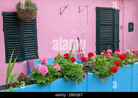 Casa rustica argentina decorata con fiori Foto Stock