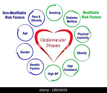 Fattori di rischio non modificabili e modificabili per malattie cardiovascolari Foto Stock
