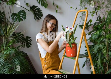 Giovane donna sorridente giardiniere in occhiali che indossano tute, prendendosi cura di orchidea in vecchio latte rosso può stare in piedi su scala arancione vintage. Giardinaggio domestico Foto Stock