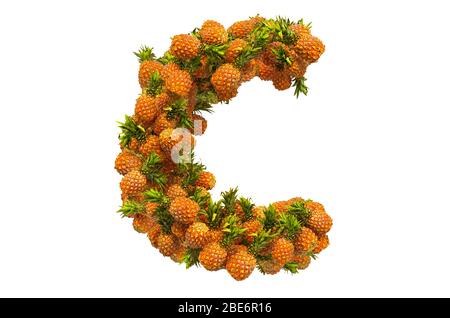 Lettera C da ananas, rendering 3D isolato su sfondo bianco Foto Stock