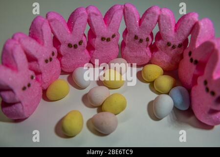 Un raduno di piepi di coniglietto rosa marshmallow in piedi in un cerchio intorno alle uova di Pasqua caramelle colorate su uno sfondo bianco Foto Stock