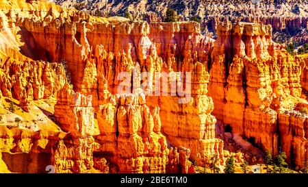 Alba sopra i pinnacoli, gli Hoodoos e gli anfiteatri di Vermilion lungo il Navajo Loop Trail nel Bryce Canyon National Park, Utah, Stati Uniti Foto Stock