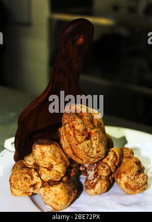 funghi freschi di tartufo bianco con affettatrici di legno Foto Stock