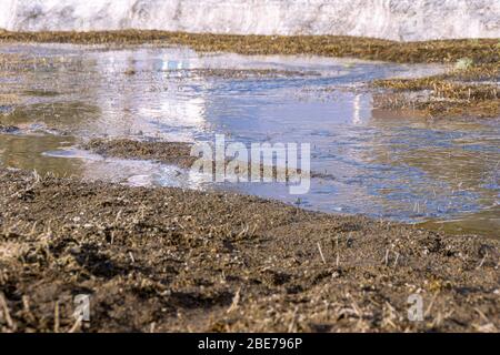 i flussi di molla provenienti dalla neve di fusione fluiscono sulla superficie terrestre a causa di fognature e fognature per tempesta congelate o difettose e pozzi di tempesta difettosi con griglie Foto Stock