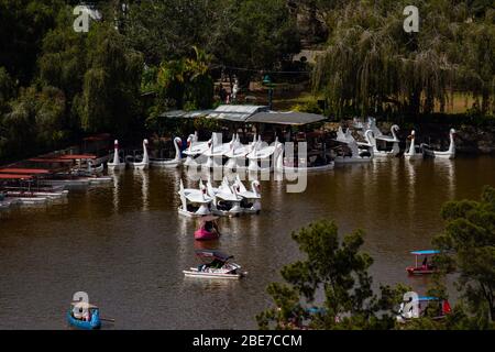 Gite in barca nel Burnham Park a Baguio City, Filippine Foto Stock