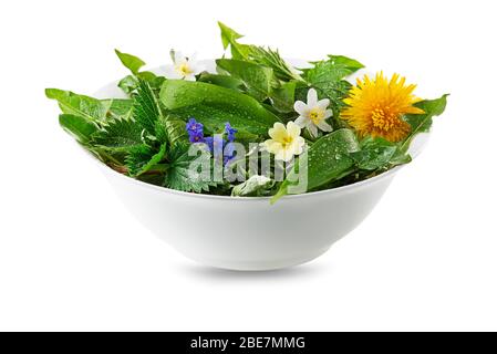 Ingredienti alimentari sani detox primavera. Dente di leone, aglio selvatico, fiori e ortica isolato su bianco Foto Stock