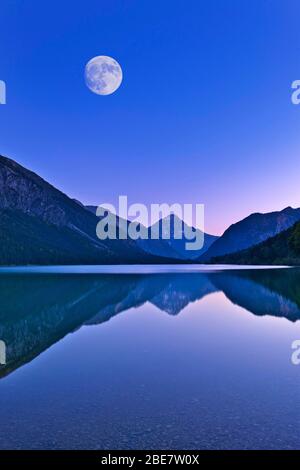 Lago Plansee con luna piena, umore serale, Alpi Ammergau, dietro la montagna Thaneller nelle Alpi Lechtal, Tirolo, Austria Foto Stock