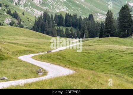 Sentiero escursionistico e sentiero nel Parco Naturale del Gantrisch nel cantone di Berna, nell'Oberland Bernese, nelle Alpi Bernesi, nelle Alpi svizzere, in Svizzera, nell'Europa occidentale Foto Stock