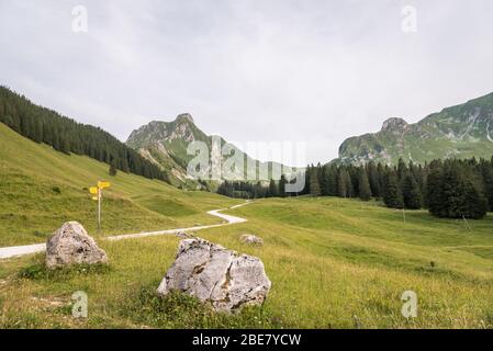 Sentiero escursionistico e sentiero nel Parco Naturale del Gantrisch nel cantone di Berna, nell'Oberland Bernese, nelle Alpi Bernesi, nelle Alpi svizzere, in Svizzera, nell'Europa occidentale Foto Stock