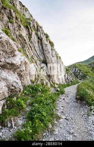 Sentiero escursionistico e sentiero nel Parco Naturale del Gantrisch nel cantone di Berna, nell'Oberland Bernese, nelle Alpi Bernesi, nelle Alpi svizzere, in Svizzera, nell'Europa occidentale Foto Stock