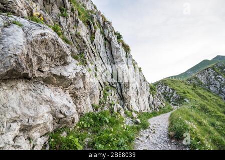 Sentiero escursionistico e sentiero nel Parco Naturale del Gantrisch nel cantone di Berna, nell'Oberland Bernese, nelle Alpi Bernesi, nelle Alpi svizzere, in Svizzera, nell'Europa occidentale Foto Stock