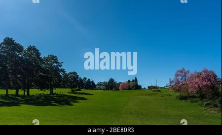 Golf link un bel posto per appendere fuori nel mezzo della città Foto Stock