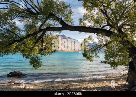 Lago Wakatipu al sole della sera con vista verso Walter Peak, Queenstown, South Island, Nuova Zelanda Foto Stock