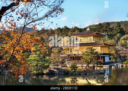Autunno al Padiglione d'Oro (Kinkaku-ji), Kyoto, Giappone Foto Stock