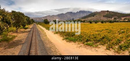 Sudafrica; Franschhoek; Tramway del vino, rickety Bridge cantina panoramica Foto Stock