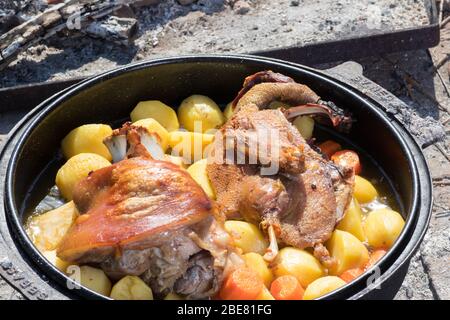 Cucina di tradizionale pasto croato Peka in pentole di metallo chiamato sac, sach o sache. Camino con fuoco aperto e bruciare le costine. L'ingrediente preparato Foto Stock