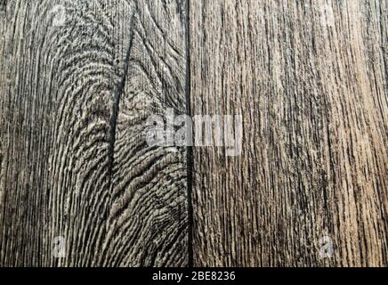 La struttura dell'albero su un pezzo di linoleum. Foto Stock