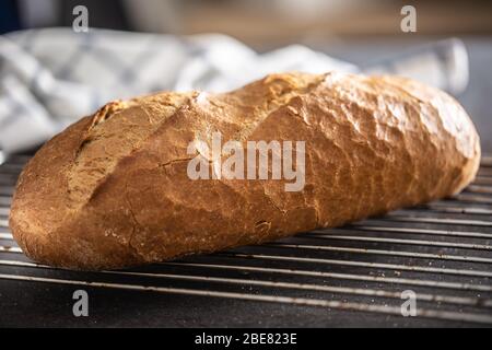 Pane fresco e croccante, posto su una griglia metallica in cucina. Foto Stock