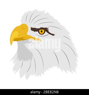 Aquila calva americana. Illustrazione di una testa di aquile nel profilo. Illustrazione Vettoriale