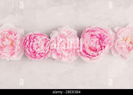 Composizione floreale fatta di fiori di peonia rosa su sfondo bianco. Disposizione piatta. Tonalità vintage o instagram. Vista dall'alto con spazio di copia Foto Stock