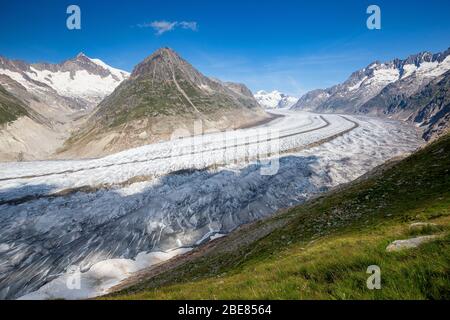 Il ghiacciaio Aletsch. Aletschgletscher. Alpi Bernesi orientali nel cantone svizzero del Vallese. Svizzera. Foto Stock