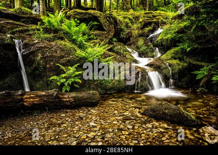 Nant y Blymbren nella valle di Elan Foto Stock