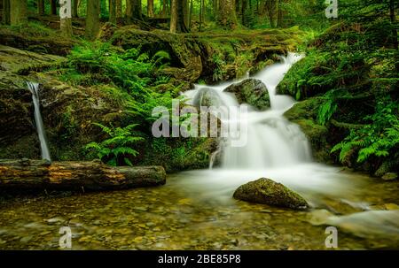 Nant y Blymbren nella valle di Elan Foto Stock