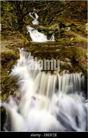 Nant Dolfolau nella valle di Elan Foto Stock