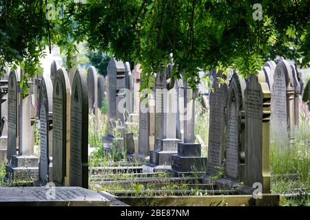 La lapide con il nome di Eleanor Rigby alla St Peters Church di Woolton Village Liverpool, dove John Lennon e Paul McCartney hanno suonato insieme per la prima volta Foto Stock