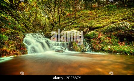 Nant Dolfolau nella valle di Elan Foto Stock