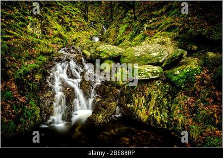 Nant Dolfolau nella valle di Elan Foto Stock