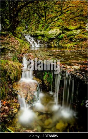 Nant Dolfolau nella valle di Elan Foto Stock