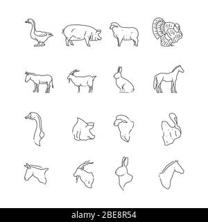 Icona della linea di uccelli e animali da fattoria - piena e teste di animali. Illustrazione vettoriale Illustrazione Vettoriale